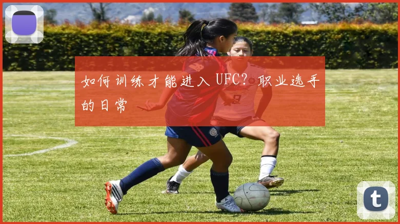 如何训练才能进入 UFC？职业选手的日常